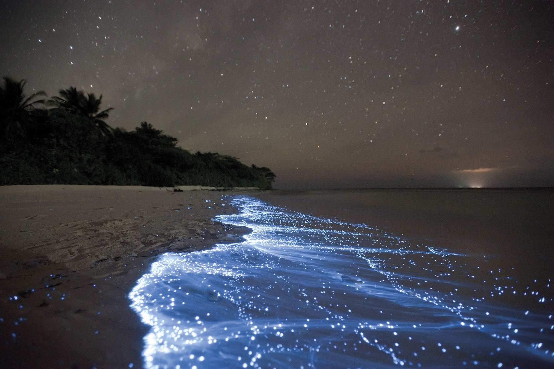 浪漫如夢的星星海。