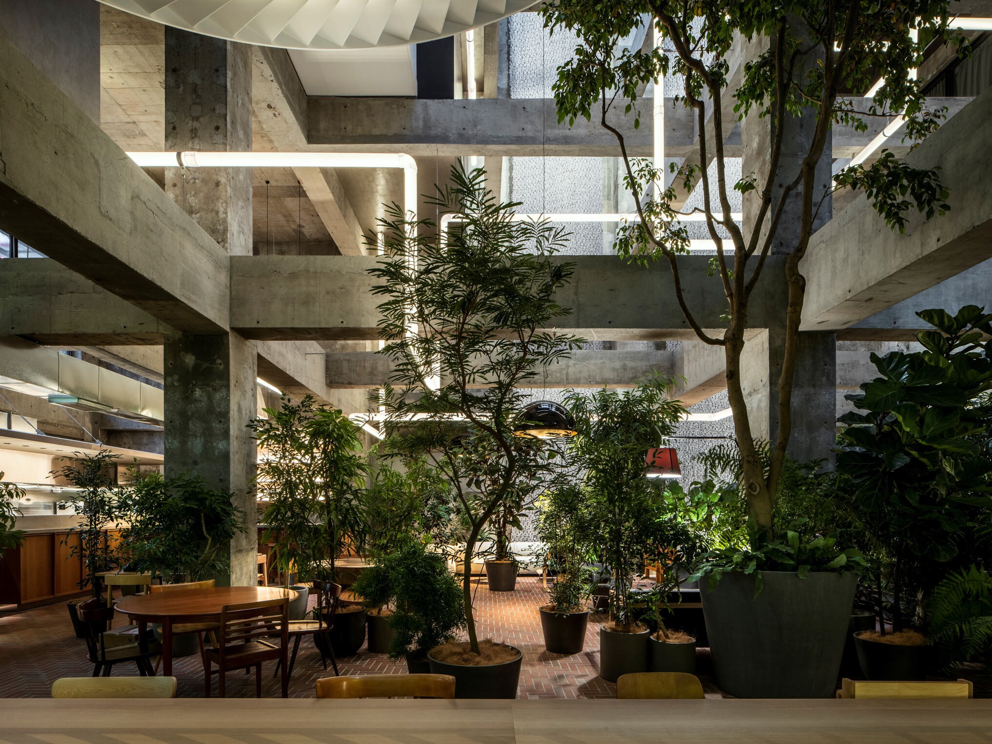 Embrace Nature: Shiroiya Hotel 想像自然，懷抱綠色意境 - 城市裡的綠色山丘旅館