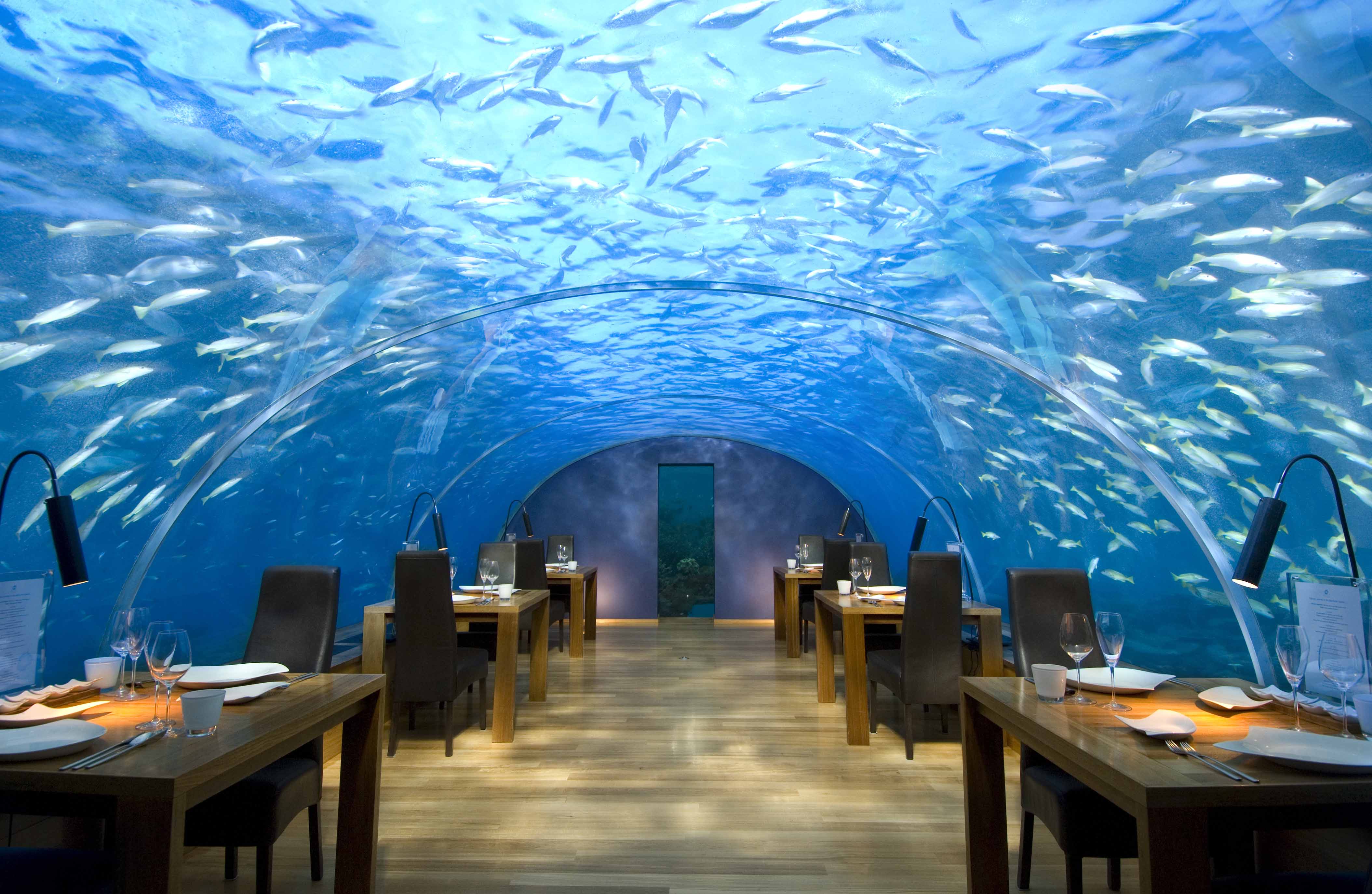 Most Unusual Restaurants in the World: Ithaa 独树一帜 奇景餐厅 - 马尔地夫│全球最美餐厅