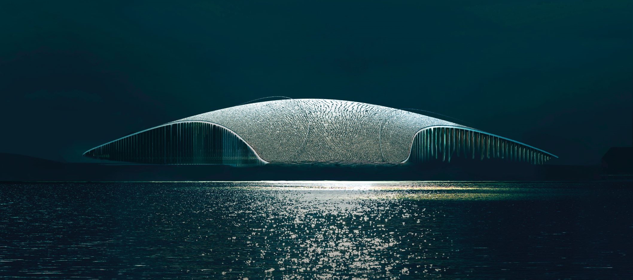 THE WHALE 极地鲸鱼跃升海面