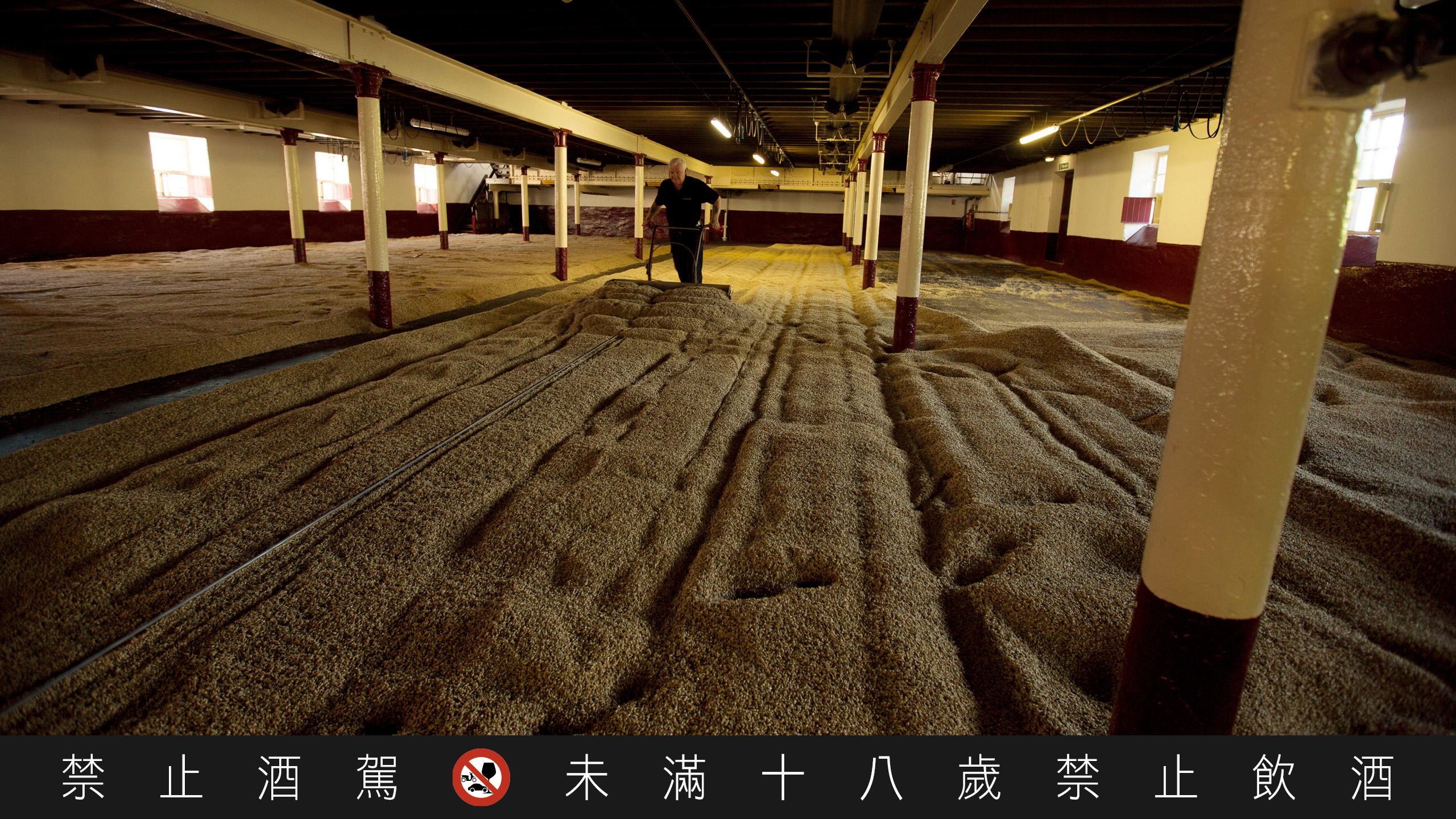 百富是苏格兰少数仍使用传统地板翻麦方式的酒厂之一。麦师傅每天翻搅大麦四次，直到大麦发芽到能够送入熏窑的程度为止。