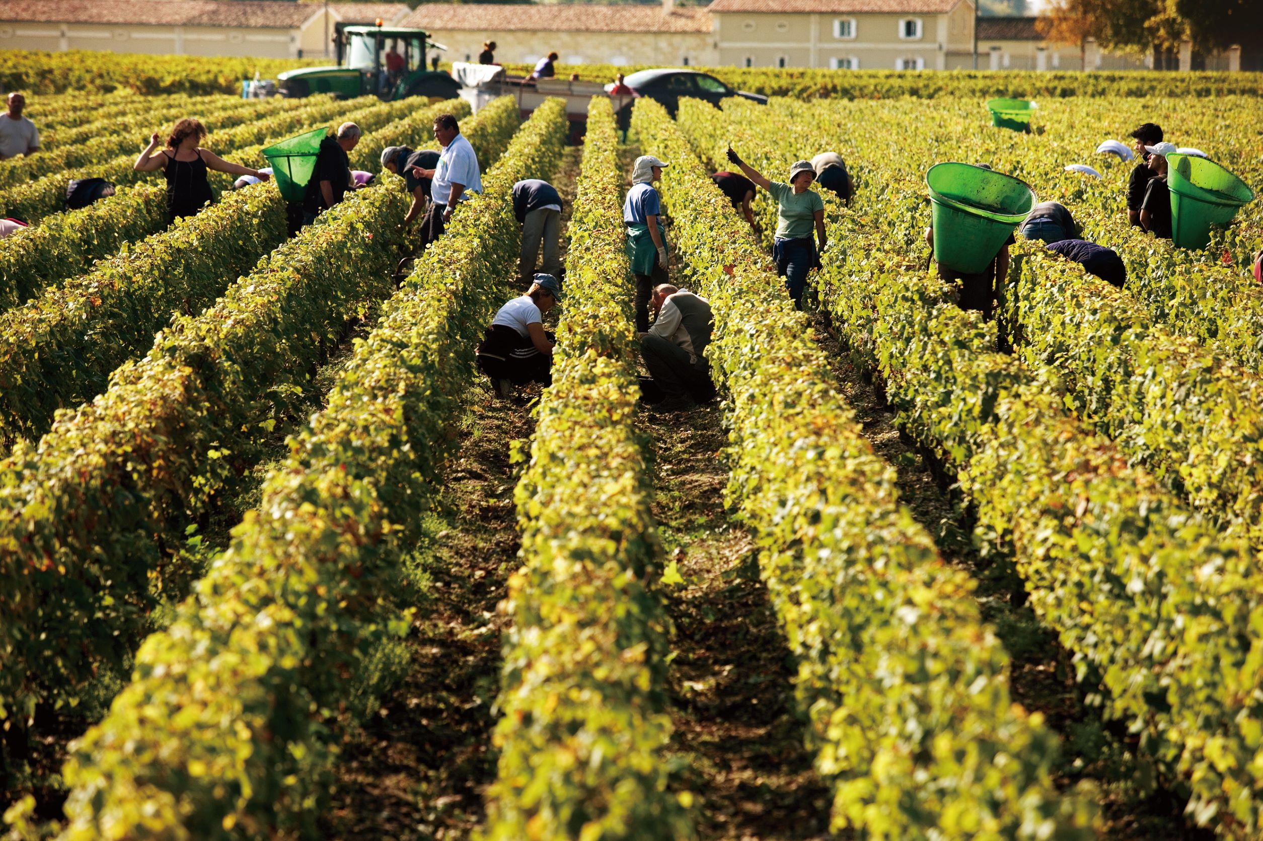 10月左右的葡萄采收期，必须动员相当多人力采收葡萄，也成了波尔多独特浪漫的田园风光。