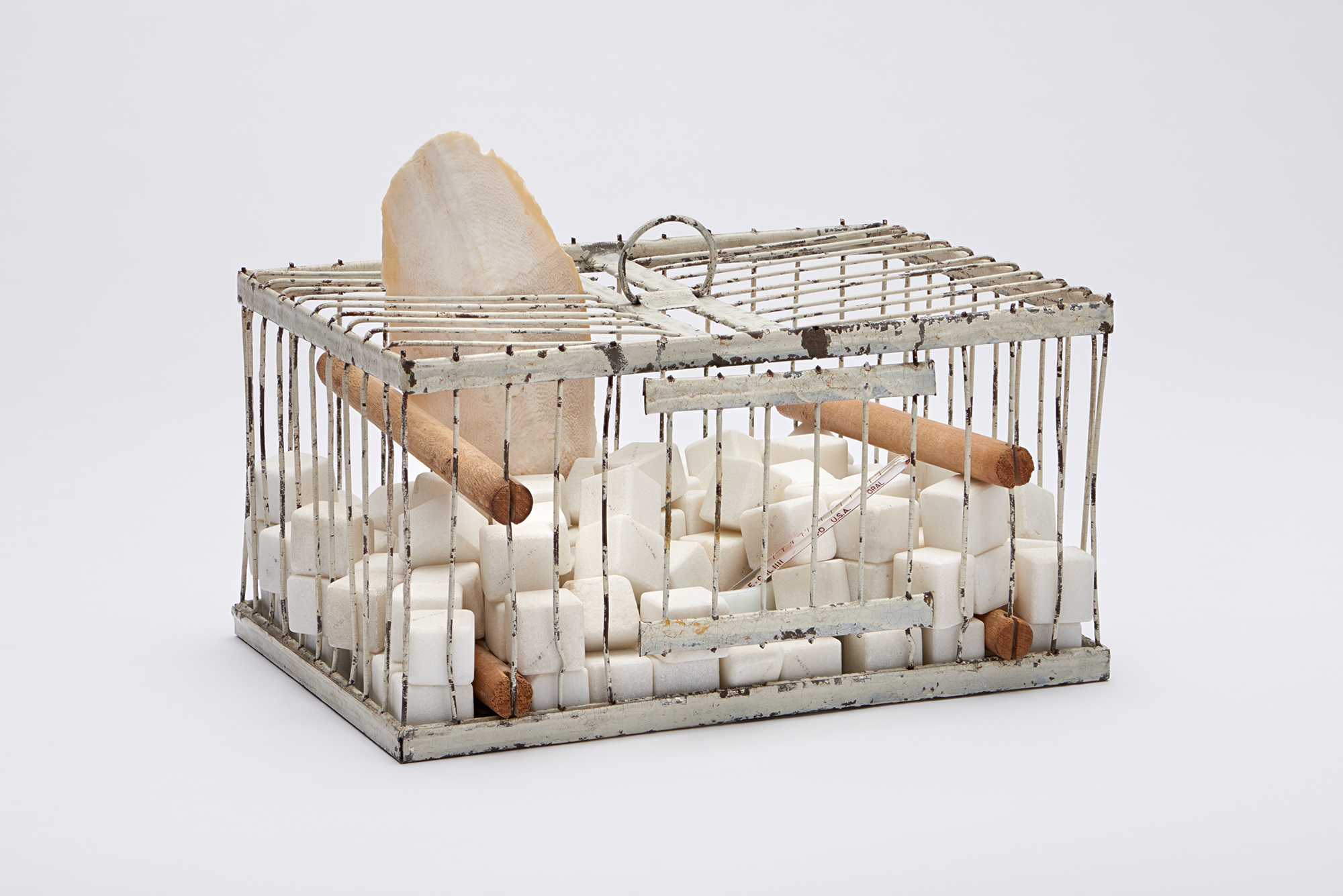 现代艺术守护神