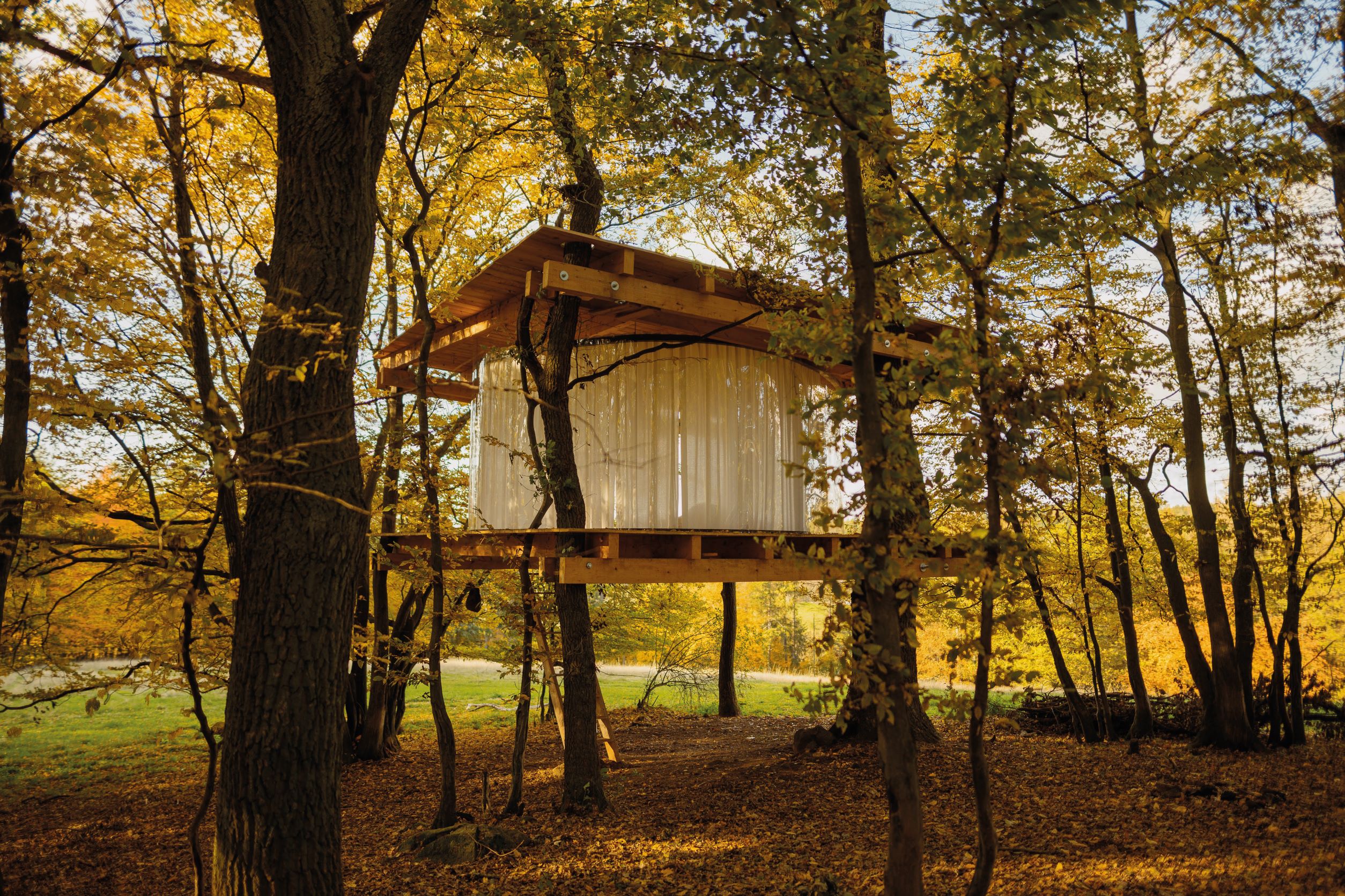 TREEHOUSE IN HRUSICE 360 度全景透明树屋