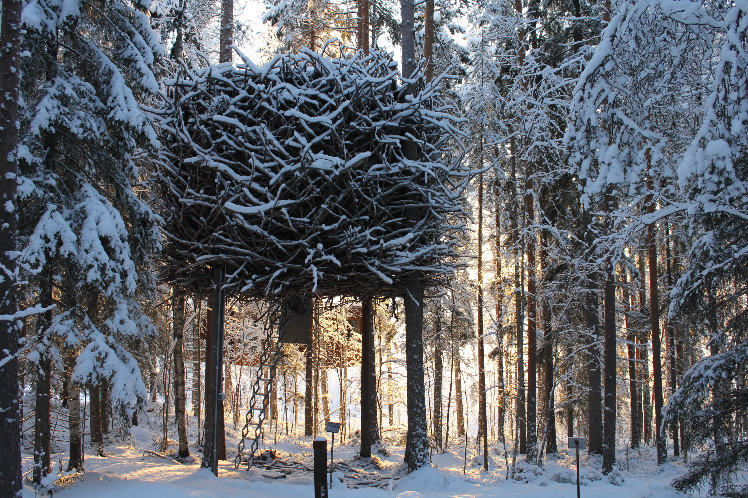 創意旅宿 - 北歐森林個性樹屋