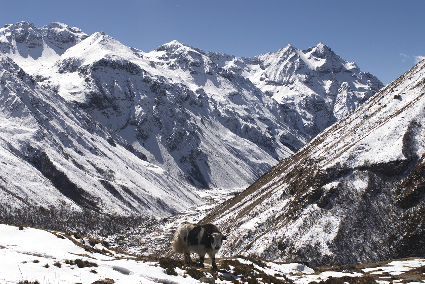 WHITE CHARM HEAVEN: EYE-CATCHING SUPER SKI RESORT 冬戀白色度假秘境 - 超級滑雪勝地吸睛