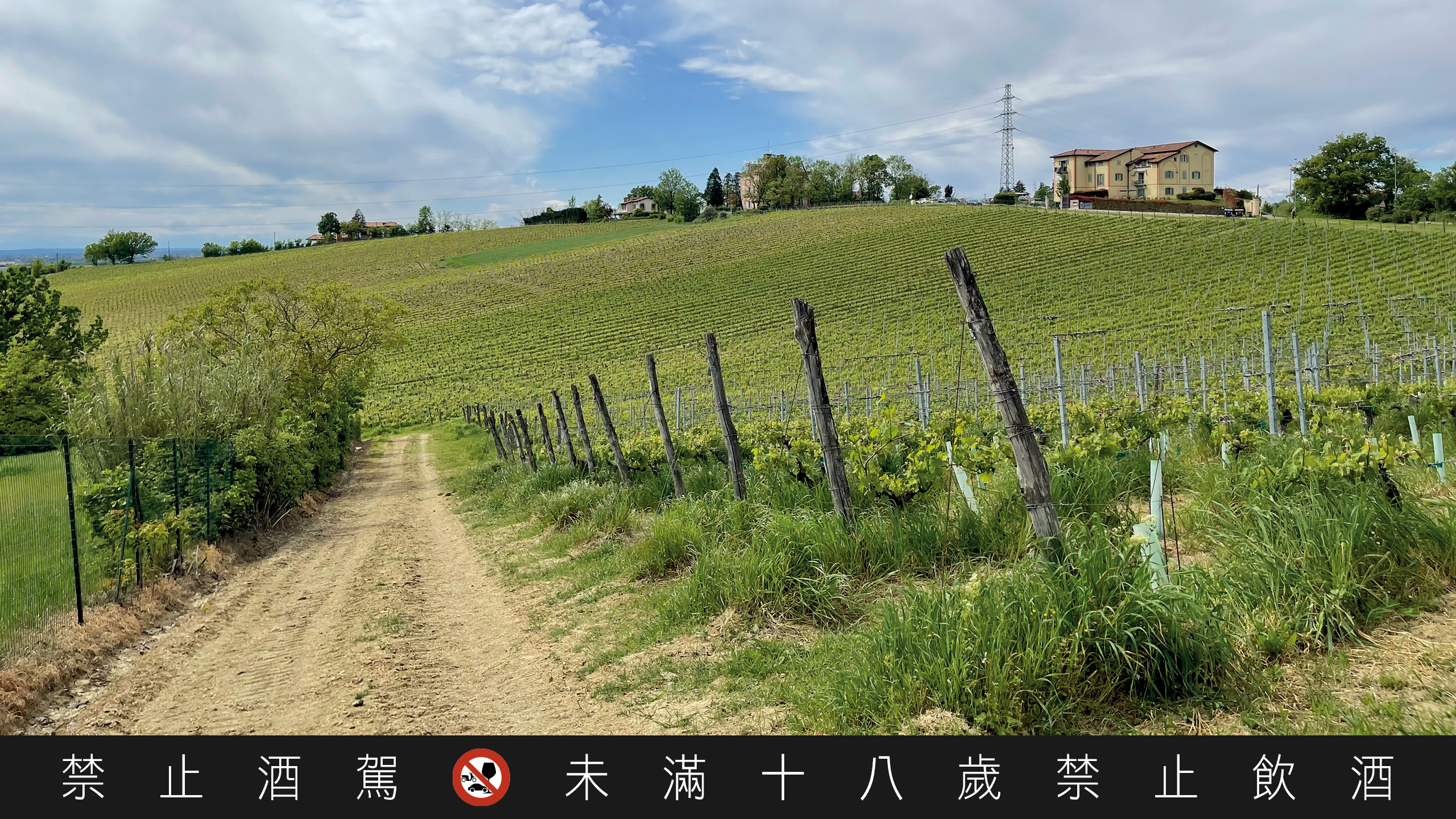 La Colombera 酒莊占地 30 公頃，有三分之一種植 Timorasso。