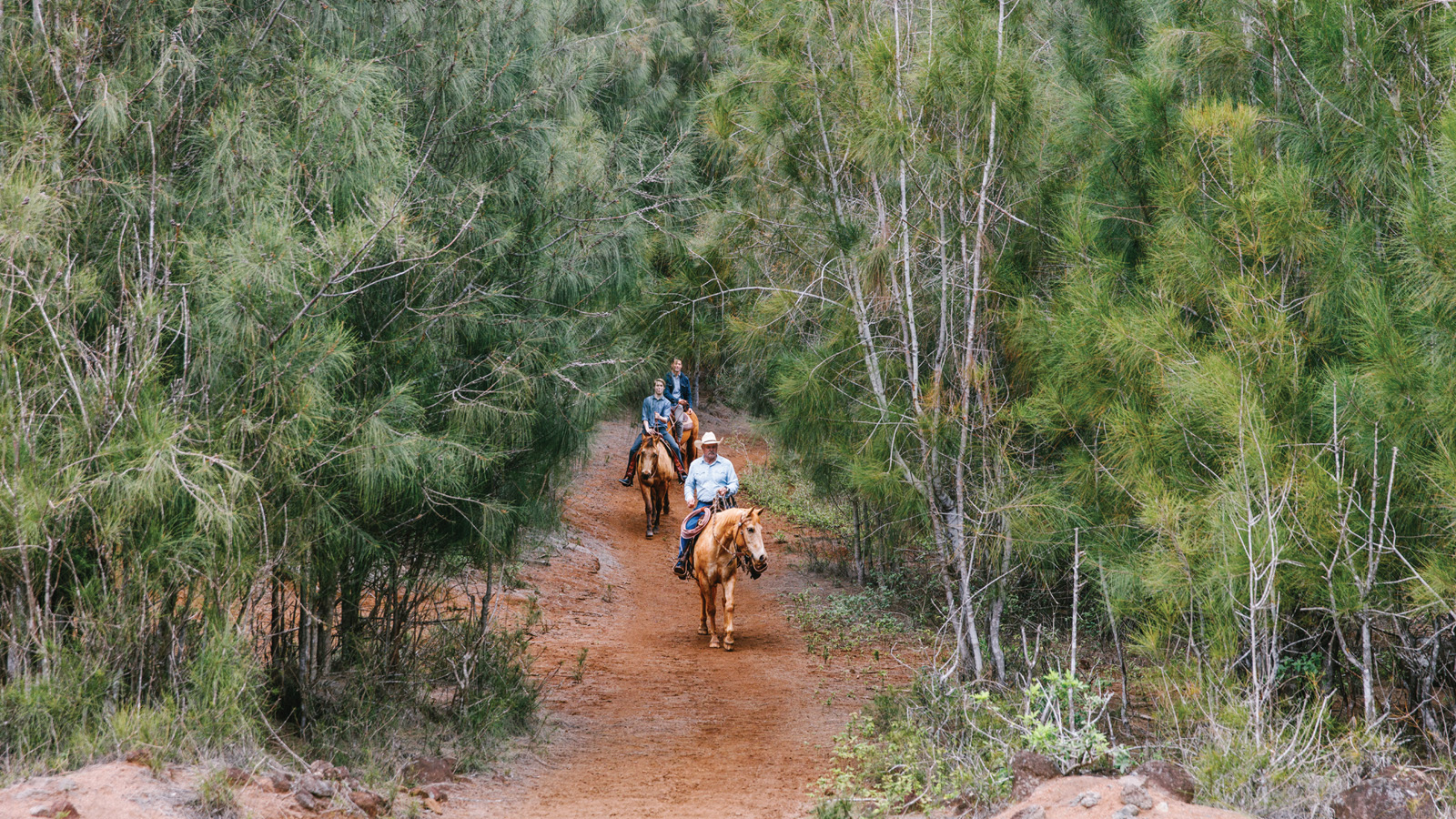 不论是骑马拜访旧时在拉奈岛高地上的牧场，又或是骑马漫步林间小径，都能感受到一种怀旧又奢华的旅行体验。