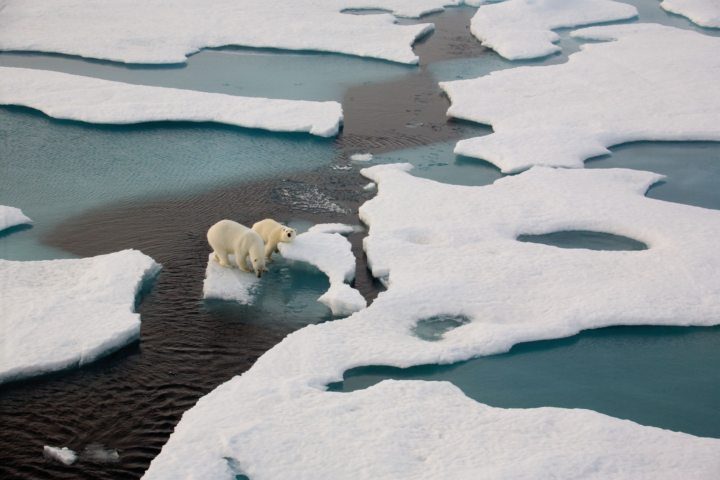 THE MASSIVE ECONOMIC CONSEQUENCES OF CLIMATE CHANGE 气候变迁的巨大经济成本