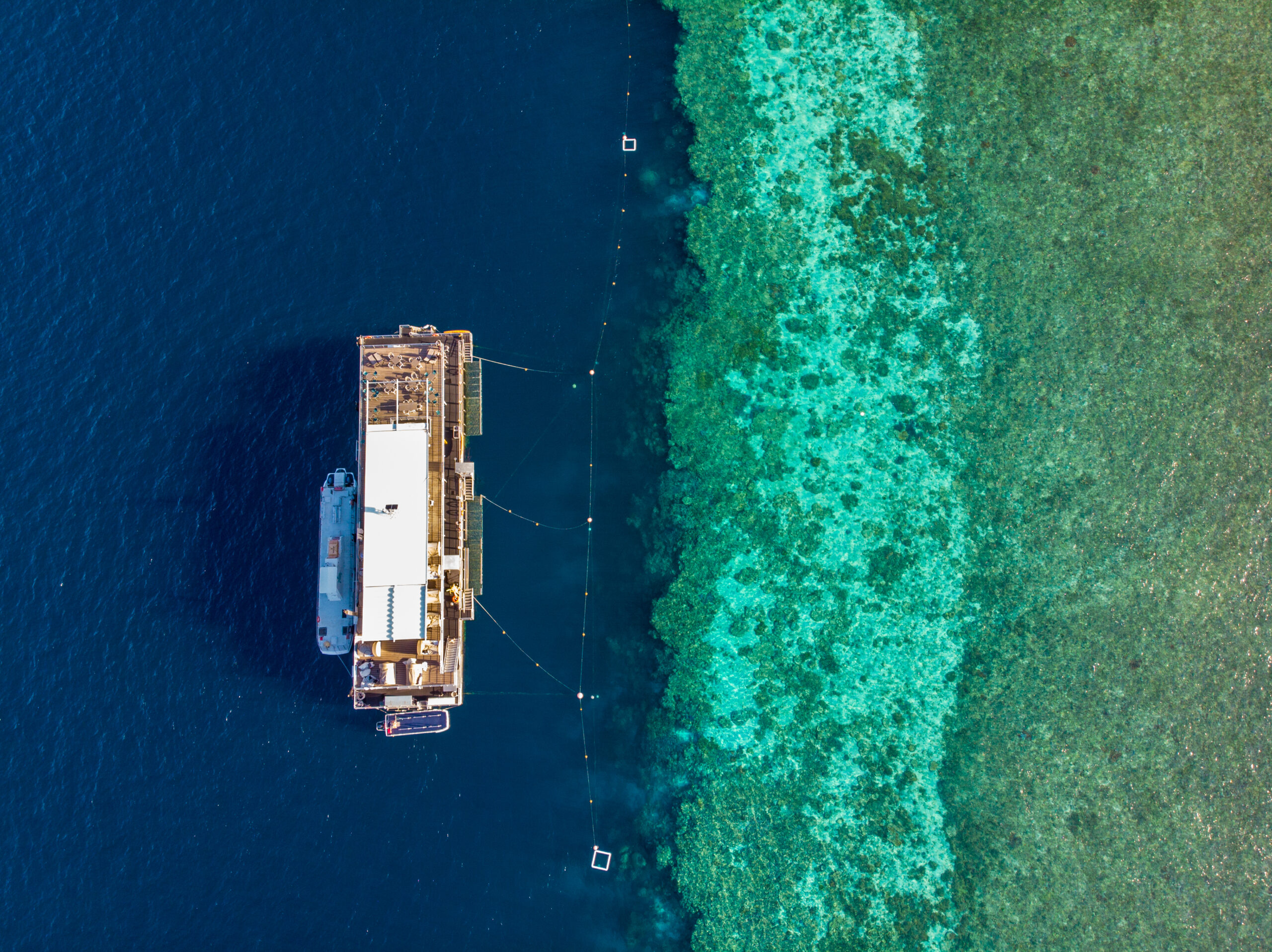 位于大堡礁上的 Reefworld 漂浮旅馆，提供有私人导游潜水行程。