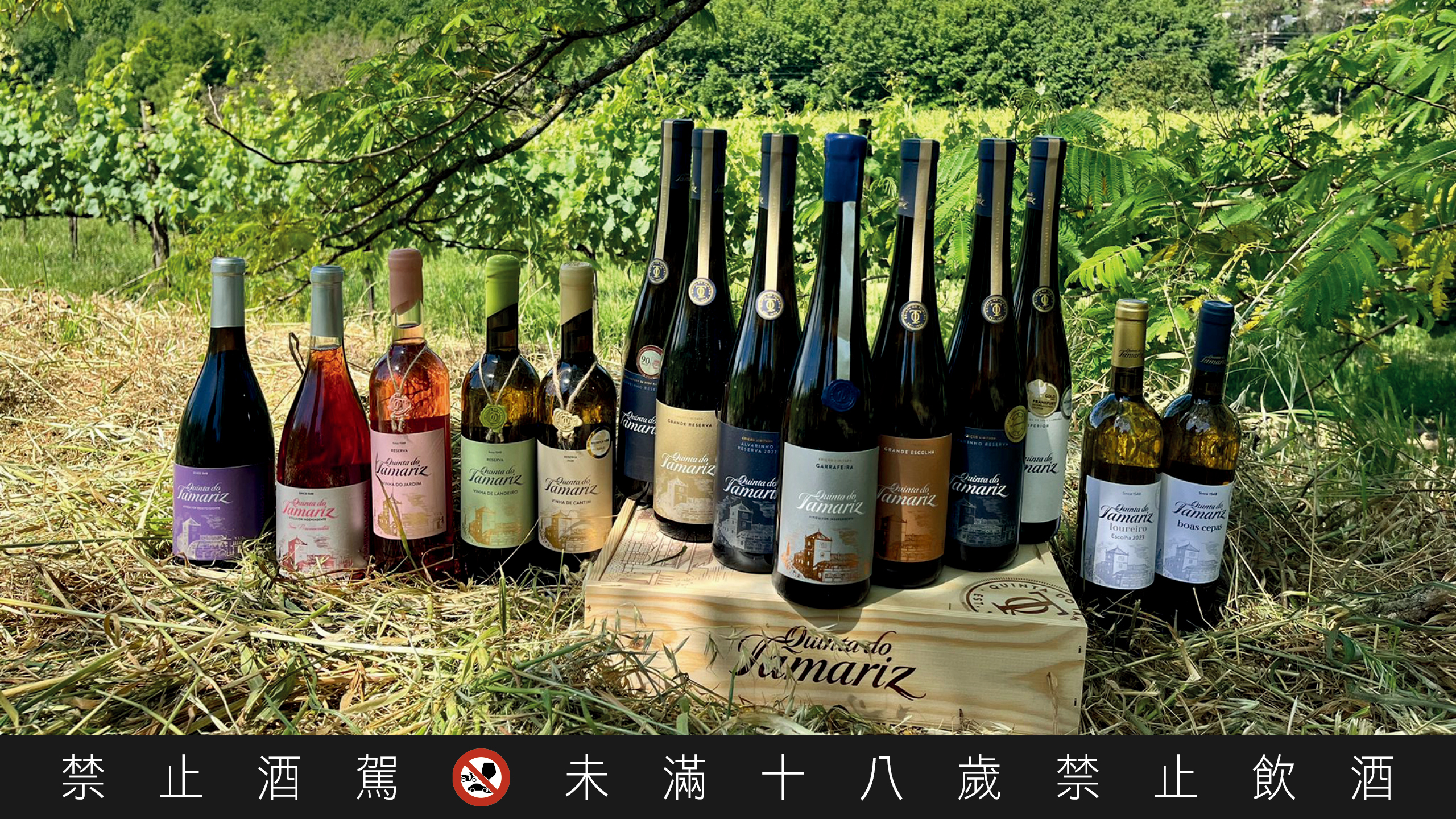 Quinta do Tamariz 的酒具有清新風格，酸度適中，是非常適合戶外野餐的酒款。