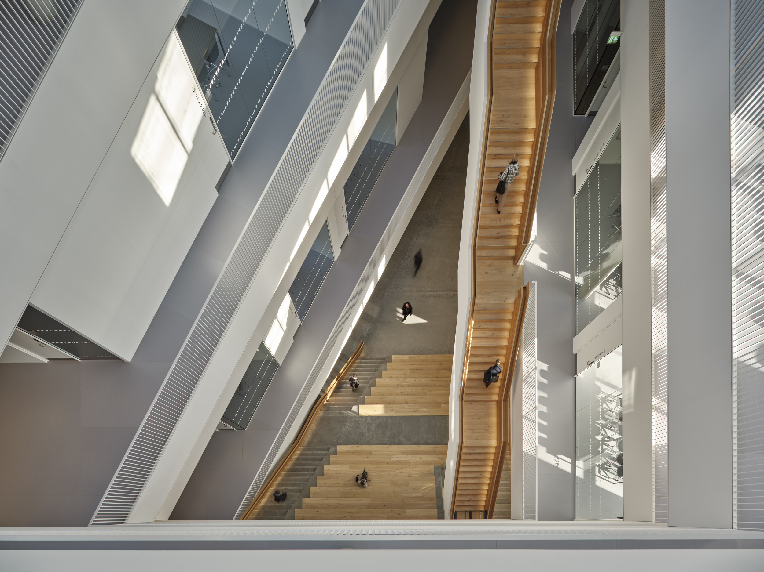 垂直中庭引入過濾後的陽光，使室內空間通透柔和。