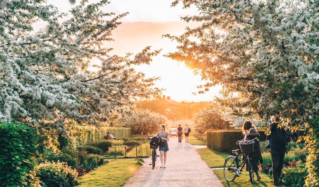 夏季繁花盛开的 King's Garden，是哥本哈根市民最爱的散步休闲去处。